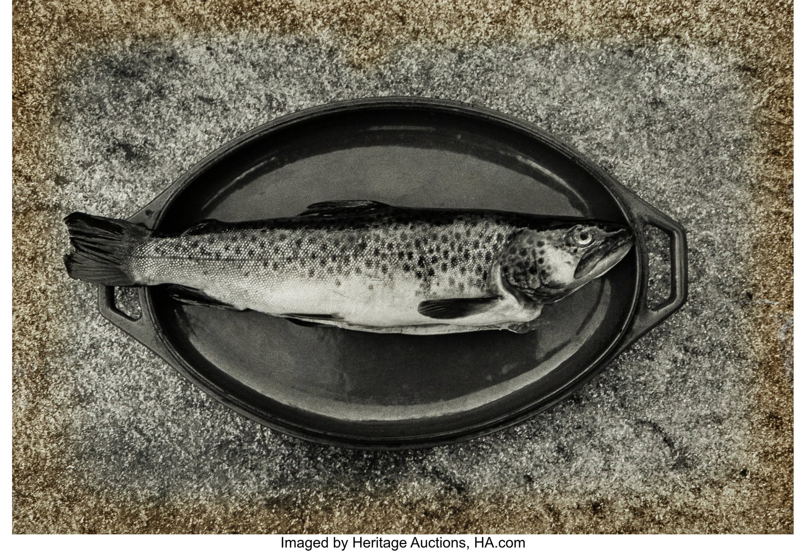Lilo Raymond (American, 1922-2009) Oyster Shells: Lilo Raymond (American, 1922-2009) Oyster Shells; Fish (2 works), 1971-1976 Gelatin silver prints 11 x 14 inches (27.9 x 35.6 cm) (she
