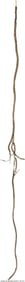 90098: Prop Whip and Club Collection from Unknown Produ