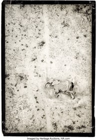 89287: "The End of the Game," Kenya's Tsavo National Pa