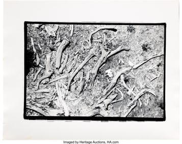 89290: "The End of the Game," Kenya's Tsavo National Pa