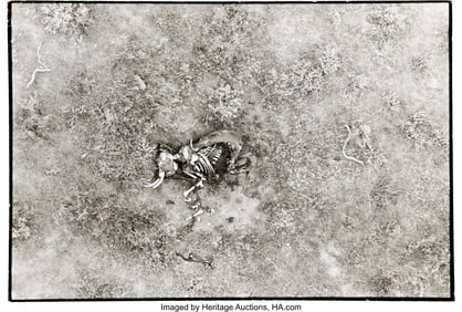 89291: "The End of the Game," Kenya's Tsavo National Pa