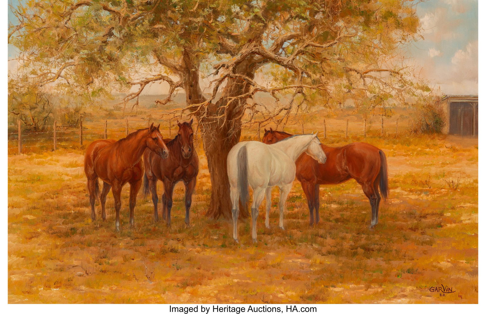 Barbara Garvin (American, b. 1936) Shade Tree Re (1 of 3)