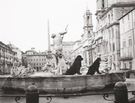 BRUCE WEBER (American, b. 1946) Rome and Newfoun: BRUCE WEBER (American, b. 1946)Rome and Newfoundlands, from the Giant Gentle Series