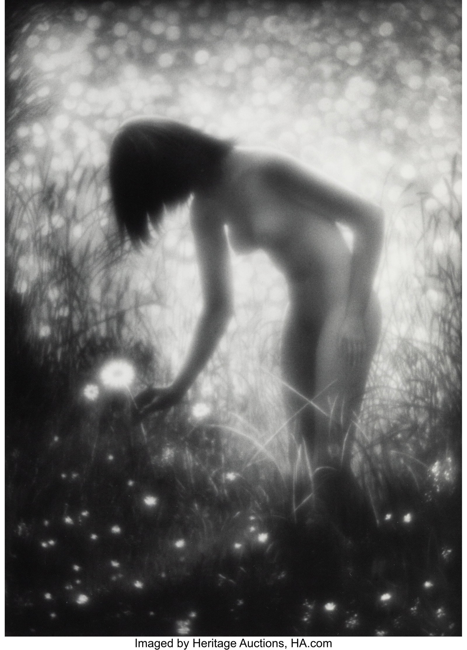 Janis Gleizds (Latvian, 1924-2010) Flower, circa: Janis Gleizds (Latvian, 1924-2010) Flower, circa 1970s Gelatin silver print 14 x 10 inches (35.6 x 25.4 cm) (image) 15-1/2 x 11-1/2 inch