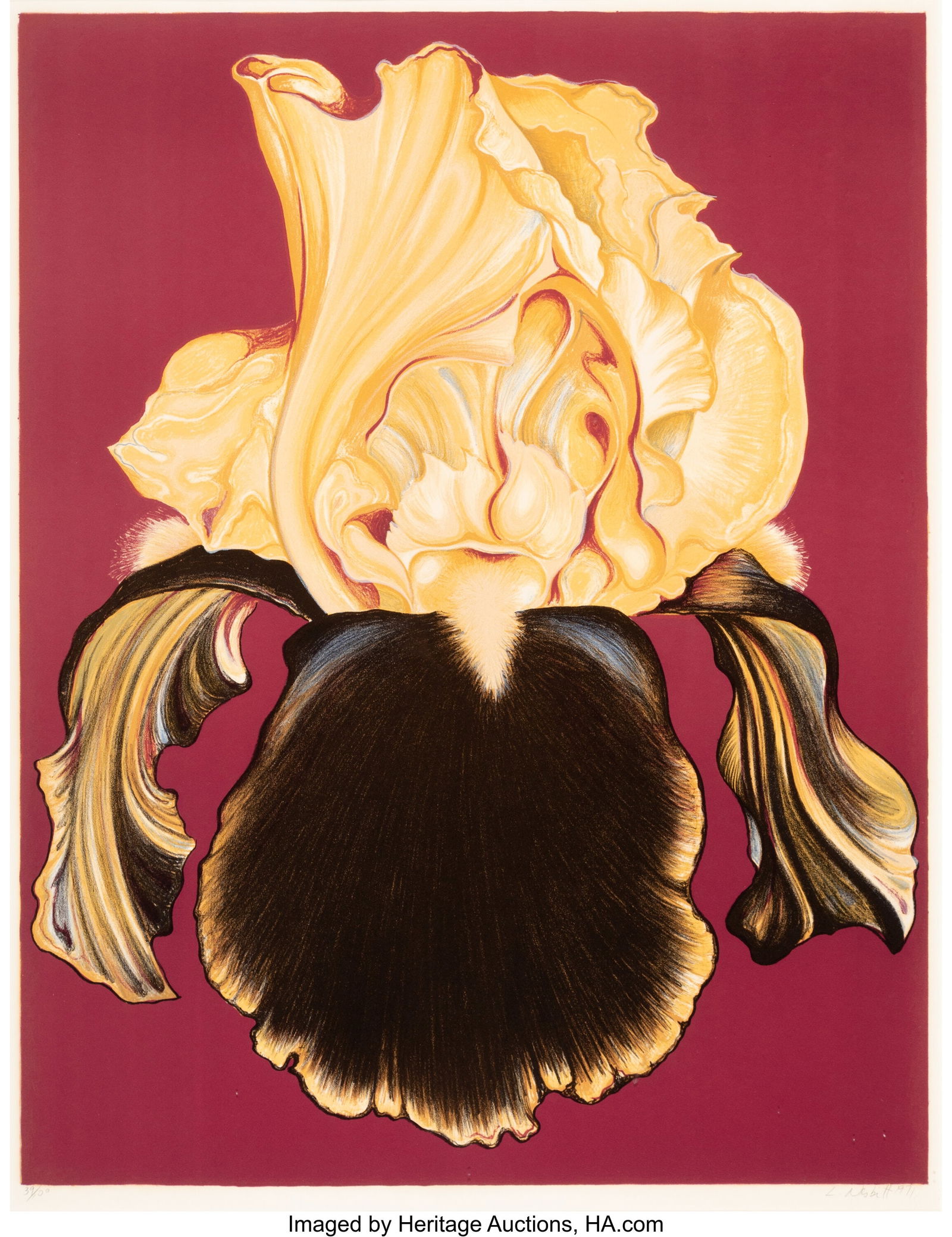 Lowell Nesbitt (1933-1993) Yellow Iris, 1971 Lit: Lowell Nesbitt (1933-1993) Yellow Iris, 1971 Lithograph in colors on wove paper 32 x 24-1/2 inches (81.3 x 62.2 cm) (sight) Ed. 39/100