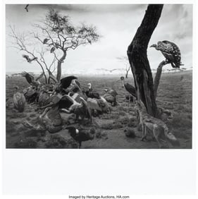 38167&colon; Hiroshi Sugimoto &lpar;Japanese&comma; b&period; 1948&rpar; Hyena-Jacka