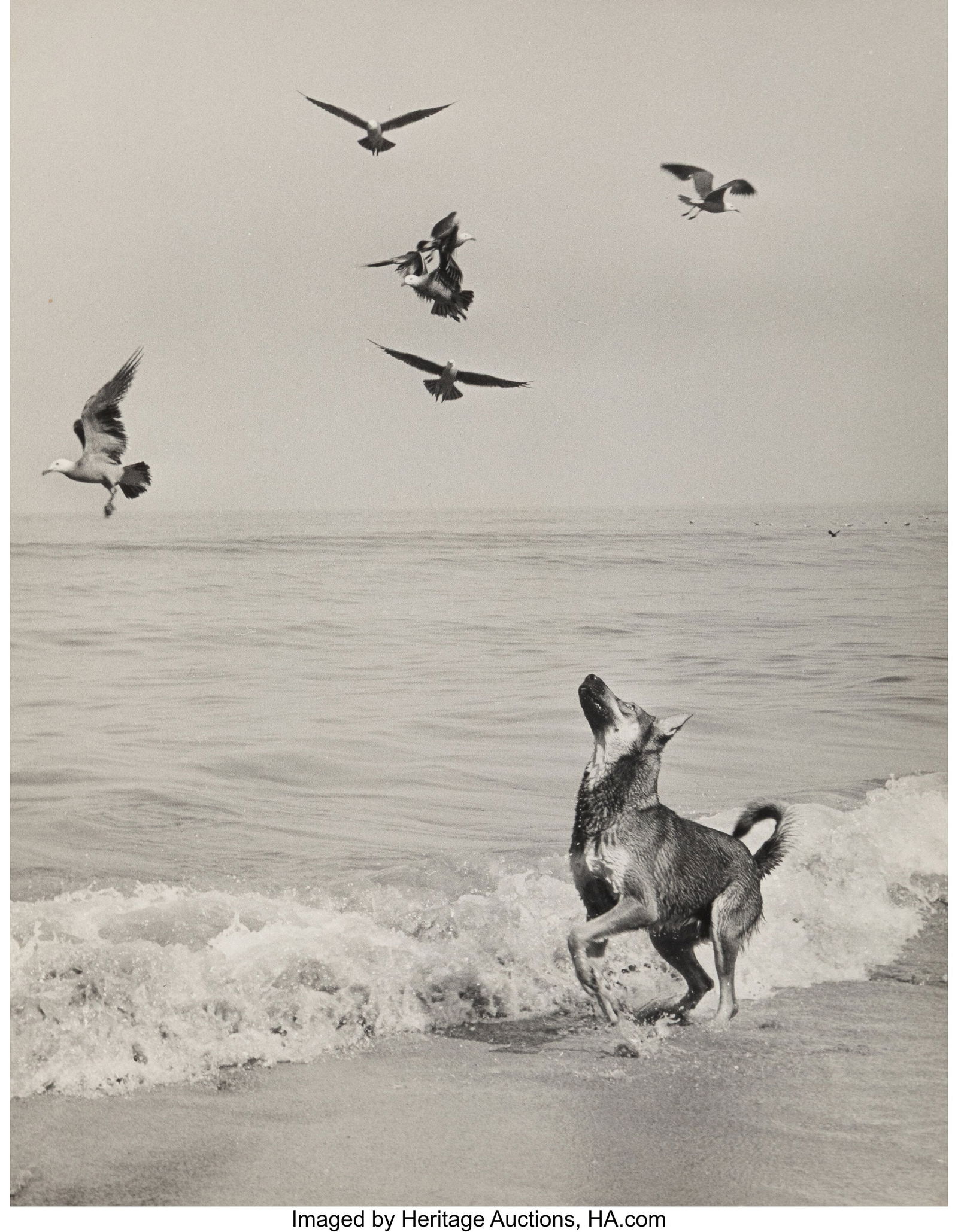 Manuel Carrillo (Mexican, 1906-1989) Group of 4: Manuel Carrillo (Mexican, 1906-1989) Group of 4 photographs, 1968 Gelatin silver prints 14 x 11 inches (35.6 x 27.9 cm) (sheets) Each signed in