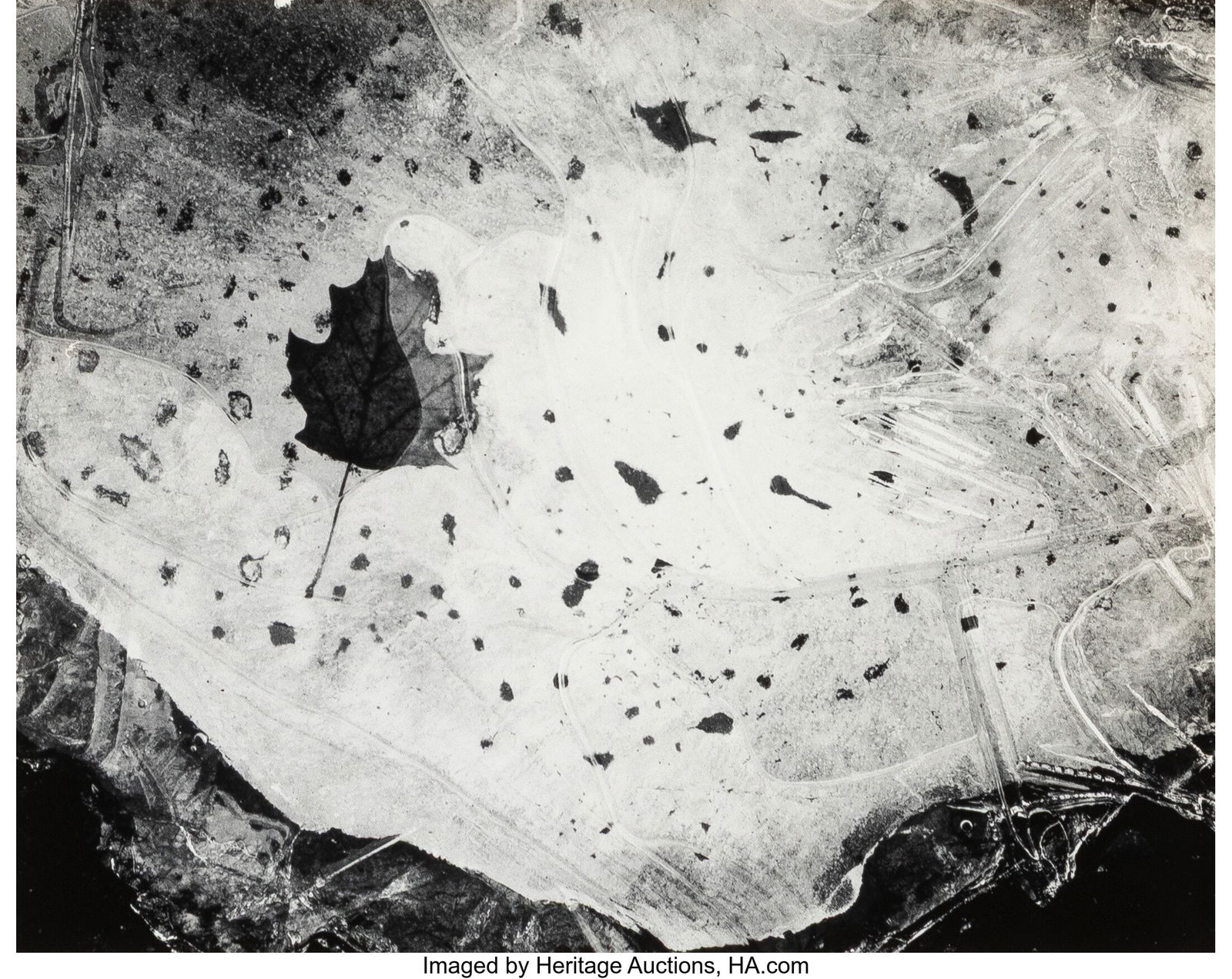 Paul Caponigro (American, 1932-2024) Leaf in Ice: Paul Caponigro (American, 1932-2024) Leaf in Ice, Nahant, Massachusetts, 1958 Gelatin silver print 5-3/4 x 7-3/8 inches (14.6 x 18.7 cm&rpa