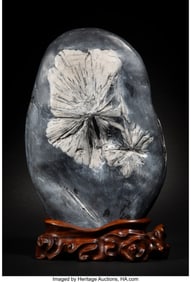 78117&colon; A Chinese Chrysanthemum Stone  12-1&sol;8 x 6-3&sol;4 x 