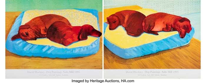 27112: After David Hockney Dogs 38 and Dogs 43, from Da