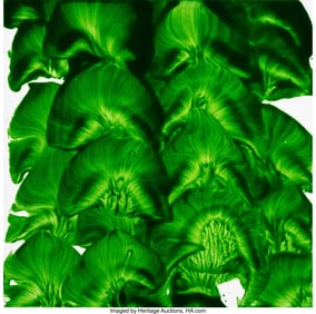 36061&colon; Jamie Nares &lpar;b&period; 1953&rpar; Untitled &lpar;Green&rpar;&comma; 2006 Mix