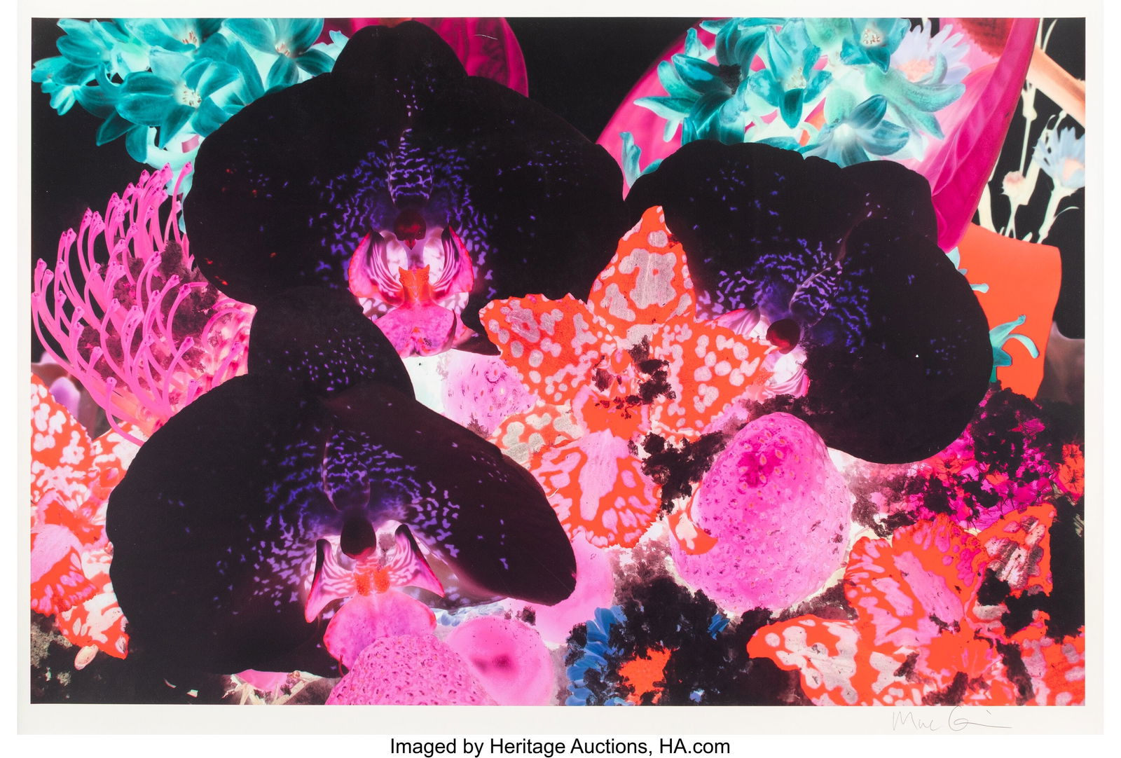 Marc Quinn (b. 1964) At The Far Edges of the Uni: Marc Quinn (b. 1964) At The Far Edges of the Universe 01, circa 2020 Giclée print in colors on wove paper 27-1/2 x 40-7/8 inches (69.8 x 103.8