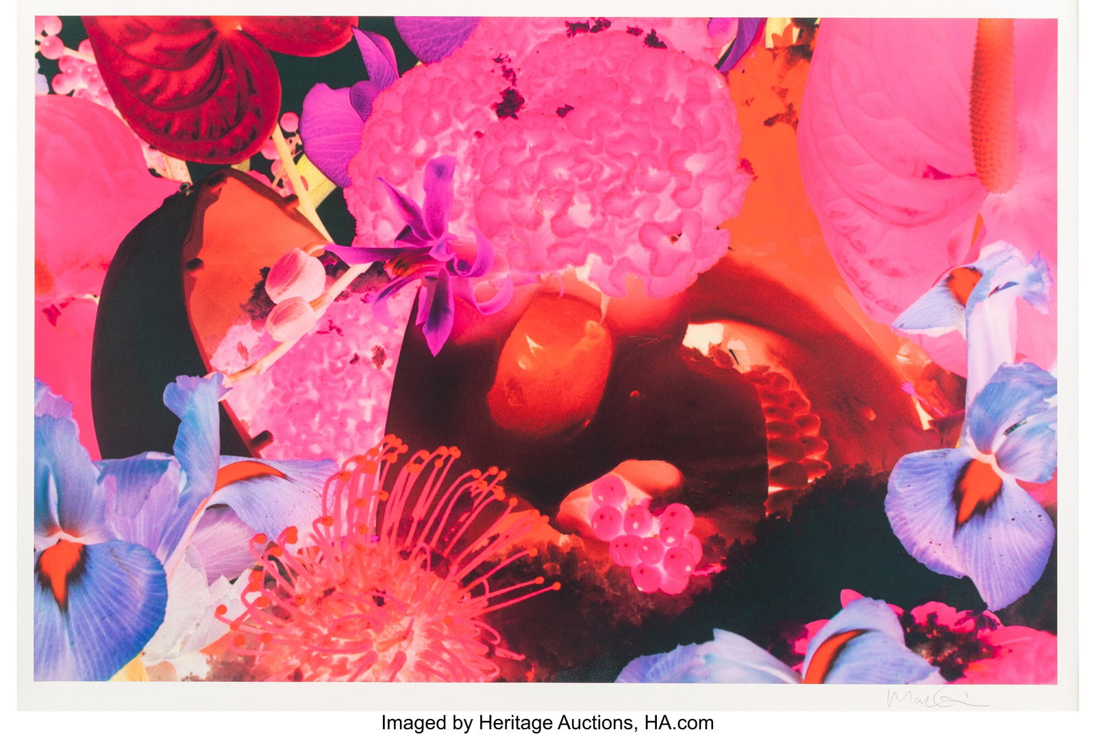 Marc Quinn (b. 1964) At the Far Edges of the Uni: Marc Quinn (b. 1964) At the Far Edges of the Universe 08, circa 2020 Giclée print in colors on wove paper 27-1/2 x 40-7/8 inches (69.8 x 103.8