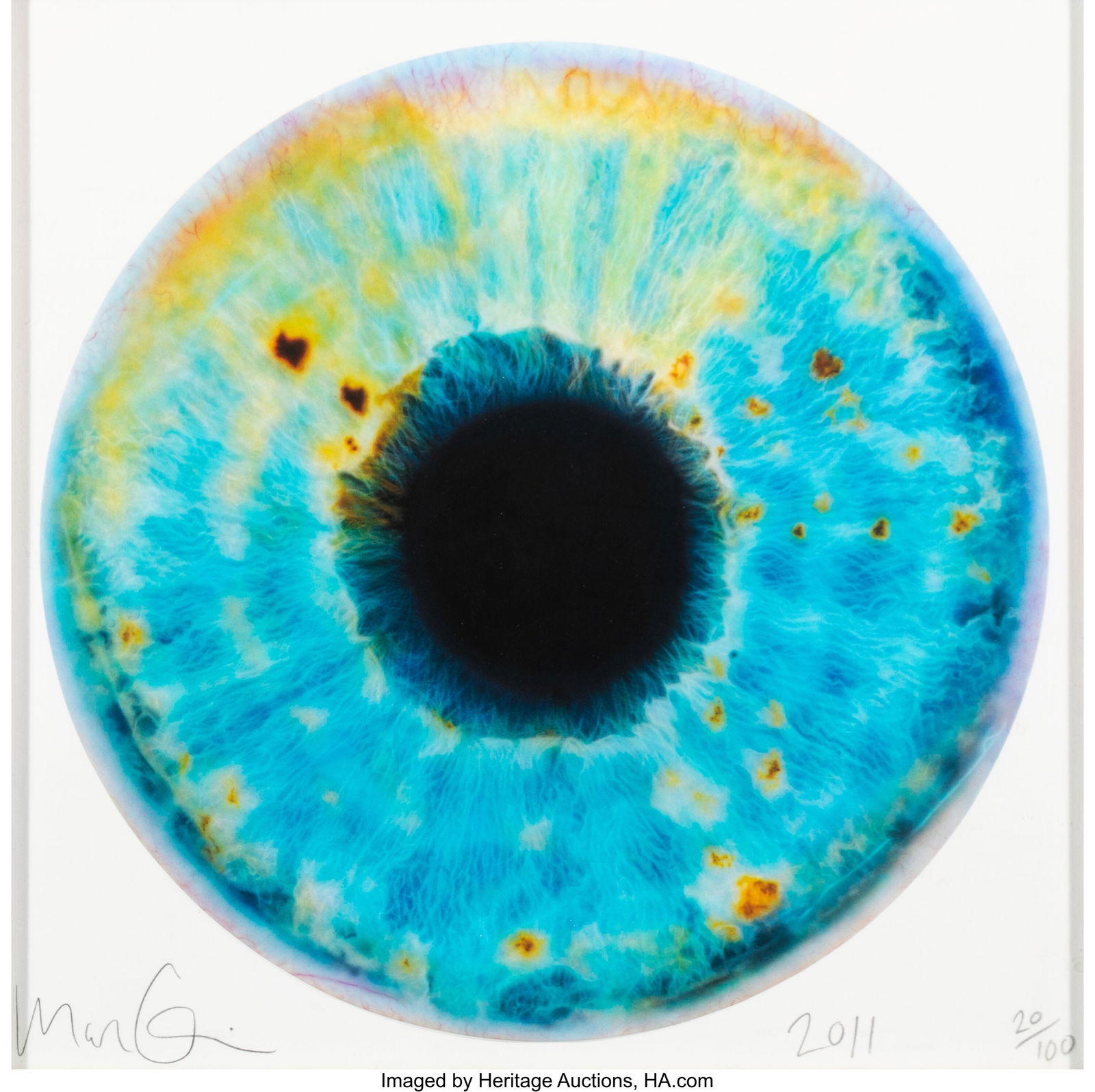 Marc Quinn (b. 1964) Iris, 2011 Digital print in: Marc Quinn (b. 1964) Iris, 2011 Digital print in colors on wove paper 12-1/8 x 12-1/8 inches (30.8 x 30.8 cm) (sight) Ed. 20&sol