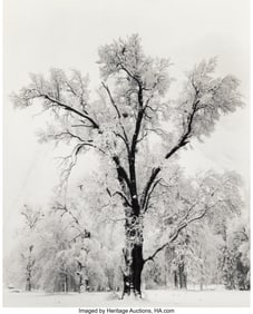 73004&colon; Ansel Adams &lpar;American&comma; 1902-1984&rpar; Oak Tree&comma; Snow
