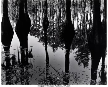 73010&colon; Brett Weston &lpar;American&comma; 1911-1993&rpar; Cypress Swamp