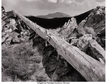 73017&colon; Howard Bond &lpar;American&comma; 1931-2024&rpar; Portfolio Ten&comma;