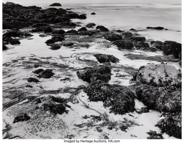73027&colon; Wynn Bullock &lpar;American&comma; 1902-1975&rpar; Tide Pool&comma; Po