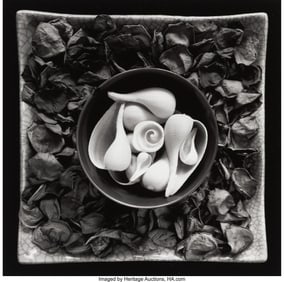 73028&colon; Paul Caponigro &lpar;American&comma; 1932-2024&rpar; Cornucopia 