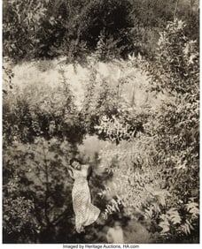 73178&colon; Edward Steichen &lpar;American&comma; 1879-1973&rpar; Sylvia Sid