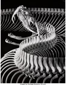 73042&colon; Andreas Feininger &lpar;French&sol;American&comma; 1906-1999&rpar; T