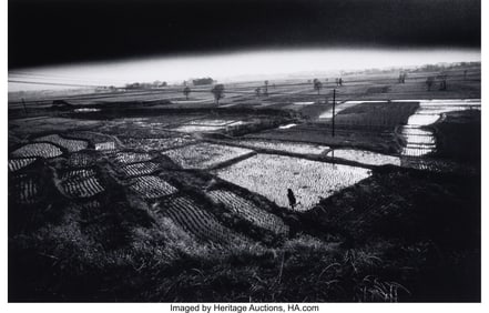 73315&colon; Eikoh Hosoe &lpar;Japanese&comma; 1933-2024&rpar; Kamaitachi &num;12