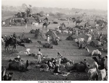 73370&colon; Marc Riboud &lpar;French&comma; 1923-2016&rpar; Camel Market&comma; 19