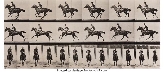 73319&colon; Eadweard Muybridge &lpar;British&comma; 1830-1904&rpar; Horse in