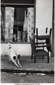 73464&colon; Elliott Erwitt &lpar;American&comma; 1928-2023&rpar; Dublin&comma; Ire