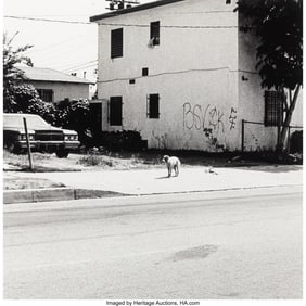 73466&colon; John M&period; Divola &lpar;American&comma; b&period; 1949&rpar; Stray Dog&comma; Lo