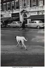 73467&colon; Elliott Erwitt &lpar;American&comma; 1928-2023&rpar; Cambridge&comma; 