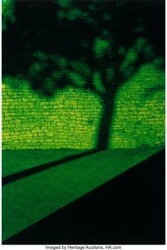 73487&colon; Pete Turner &lpar;American&comma; 1934-2017&rpar; Zimbabwe Tree&comma;