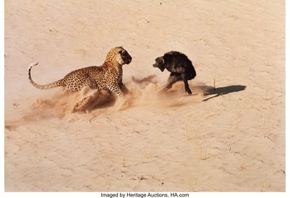 73488&colon; John Dominis &lpar;American&comma; 1921-2013&rpar; Leopard About
