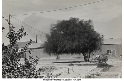 73455&colon; Lee Friedlander &lpar;American&comma; b&period; 1934&rpar; Yuma&comma; Arizon