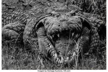 73513&colon; Peter Beard &lpar;American&comma; 1938-2020&rpar; Large Mugger C