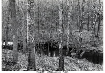 39019&colon; Paul Caponigro &lpar;American&comma; 1932-2024&rpar; Woods and S
