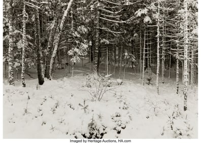 39020&colon; Paul Caponigro &lpar;American&comma; 1932-2024&rpar; Cushing&comma; Ma