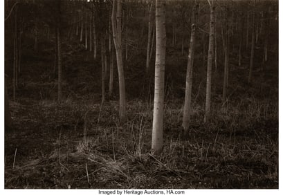39024&colon; John Blakemore &lpar;British&comma; 1936-2025&rpar; Untitled &lpar;Fo