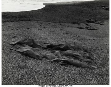 39051&colon; Paul Caponigro &lpar;American&comma; 1932-2024&rpar; Pebble Beac