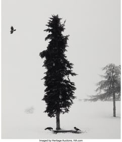39053&colon; Pentti Sammallahti &lpar;Finnish&comma; b&period; 1950&rpar; Helinski&comma; 