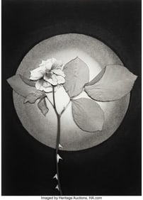 39058&colon; Huntington Witherill &lpar;American&comma; b&period; 1949&rpar; Rose&comma; 1