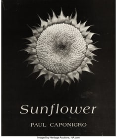 39062&colon; Paul Caponigro &lpar;American&comma; 1932-2024&rpar; Group of 3 