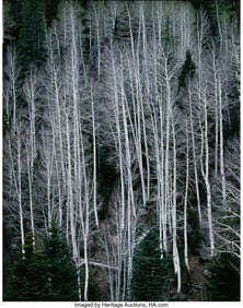 39064&colon; Joseph Holmes &lpar;American&comma; b&period; 1952&rpar; Aspens Plateau