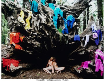 39141&colon; A&period;L&period; Steiner &lpar;American&comma; b&period; 1967&rpar; C&period;L&period