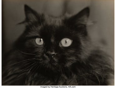 39184&colon; Lotte Jacobi &lpar;American&comma; 1896-1990&rpar; Cat&semi; Deer &lpar;2 
