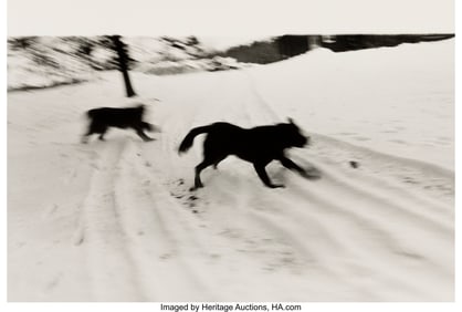 39185&colon; Tom Zetterstrom &lpar;American&comma; b&period; 1945&rpar; Dogs&comma; Maine 