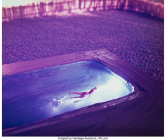 39201&colon; Brett Aaker &lpar;American&comma; 20th Century&rpar; Pool&semi; Trail