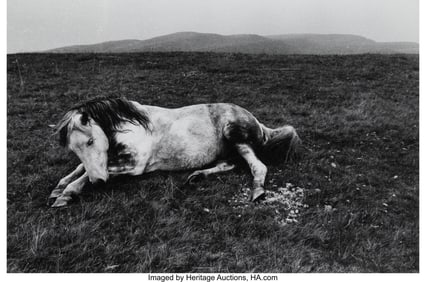 42027: Bruce Davidson (American, b. 1933) Pit Pony, Wal