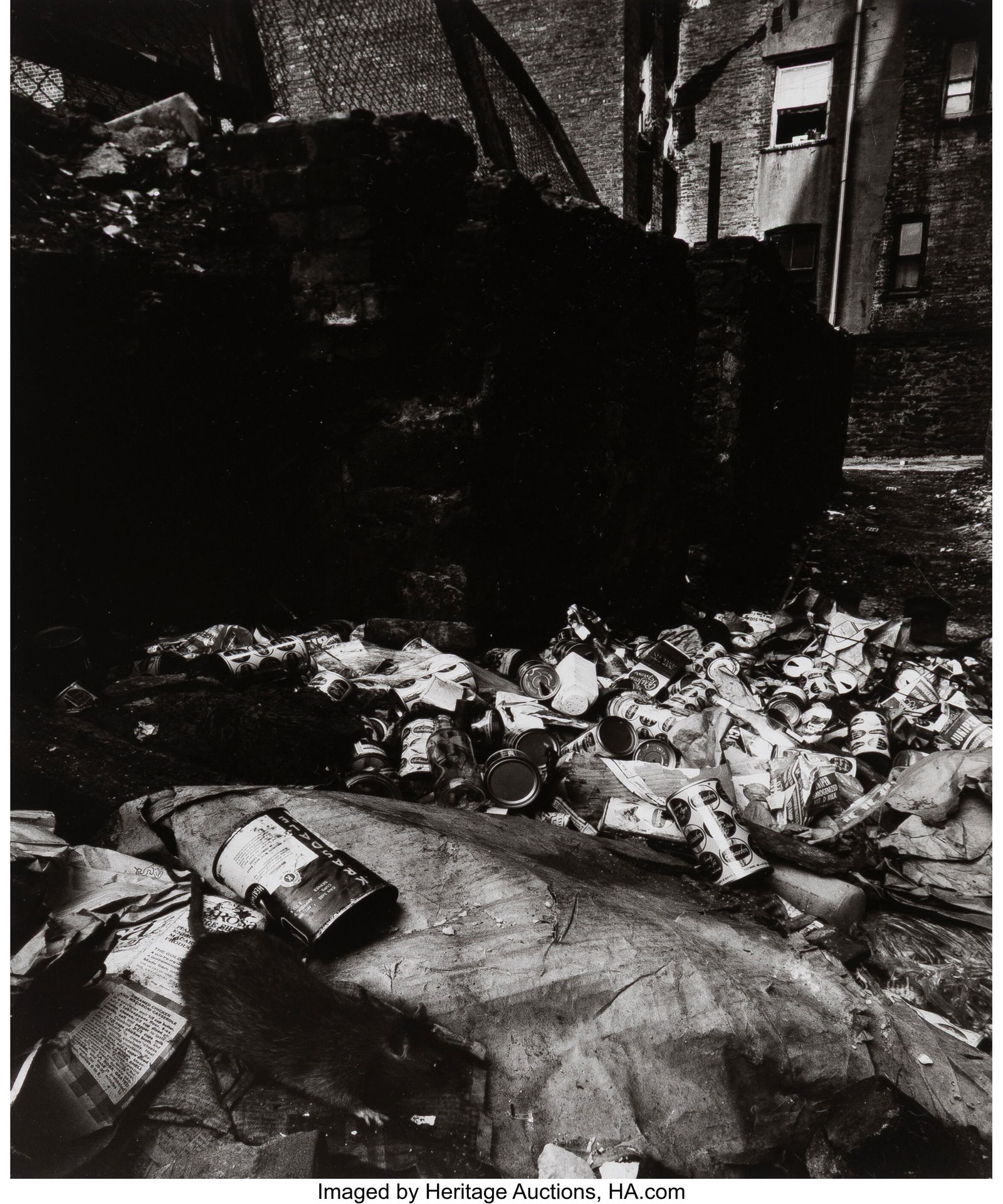 Bruce Davidson (American, b. 1933) Rat and Trash: Bruce Davidson (American, b. 1933) Rat and Trash, East 100th Street, 1966 Gelatin silver print, printed later 8-1/4 x 6-1/4 inches (21.0 x