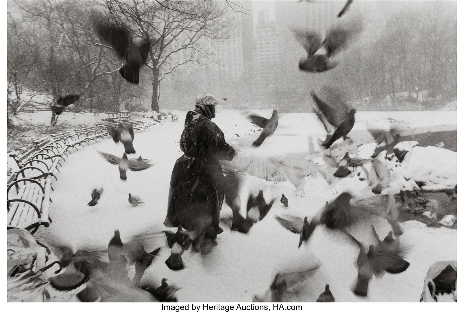 Bruce Davidson (American, b. 1933) Lola with Bir: Bruce Davidson (American, b. 1933) Lola with Birds and Snow, Central Park, 1992 Gelatin silver print, printed later 12-1/2 x 18-1/2 inches (31&per